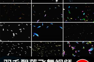 白色羽毛飘落掉落飘落彩色飞舞元素特效果透明通道pr_ae视频素材
