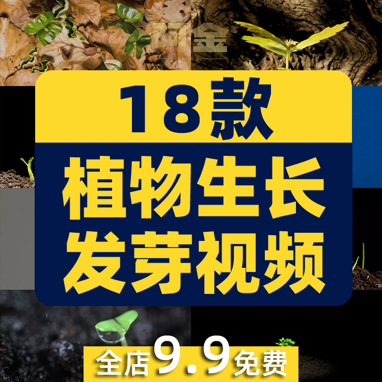 绿色植物生长破土而出种子发芽幼苗快速长大延时抖音短视频素材