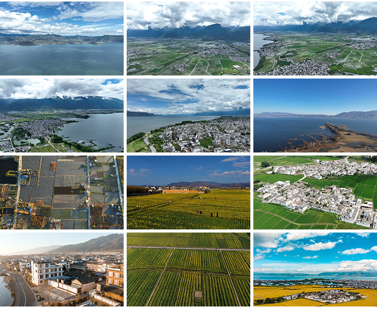 云南大理喜洲古镇旅游景点自然风景油菜花海农村全貌航拍视频素材