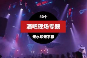 酒吧现场蹦迪DJ视频素材40个