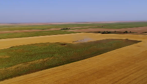 多台大型收割机作业机械化生产系列视频素材