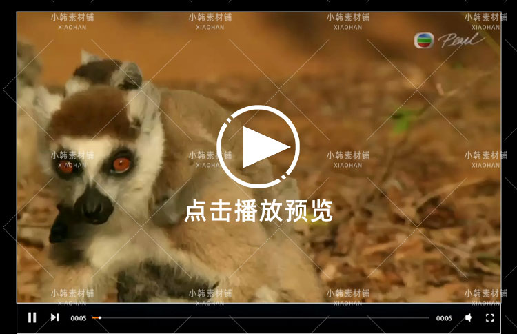 BBC动物探索纪录片猴子大观全3集中视频自媒体解说高清视频素材