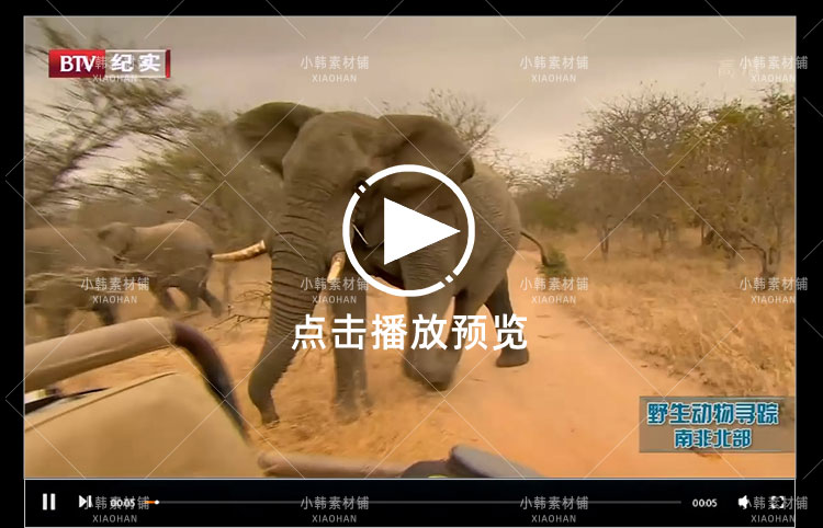 BBC野生动物寻踪纪录片娜奥米的自然恶梦中视频自媒体视频素材