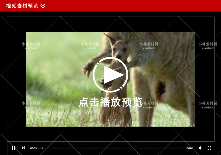 BBC野生动物纪录片哺乳类全传中视频自媒体解说高清剪辑视频素材