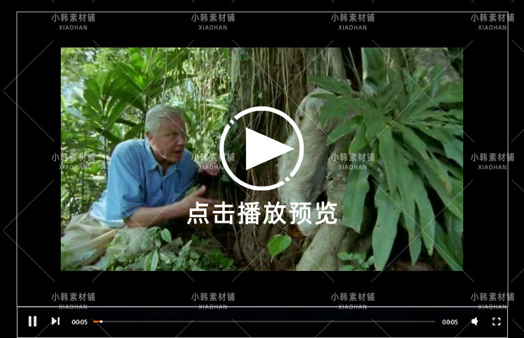 BBC野生动物纪录片哺乳类全传中视频自媒体解说高清剪辑视频素材