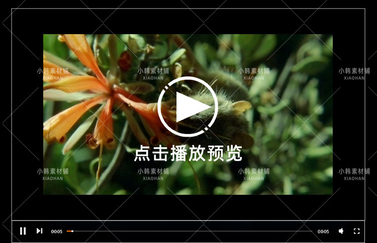 BBC野生动物纪录片哺乳类全传中视频自媒体解说高清剪辑视频素材