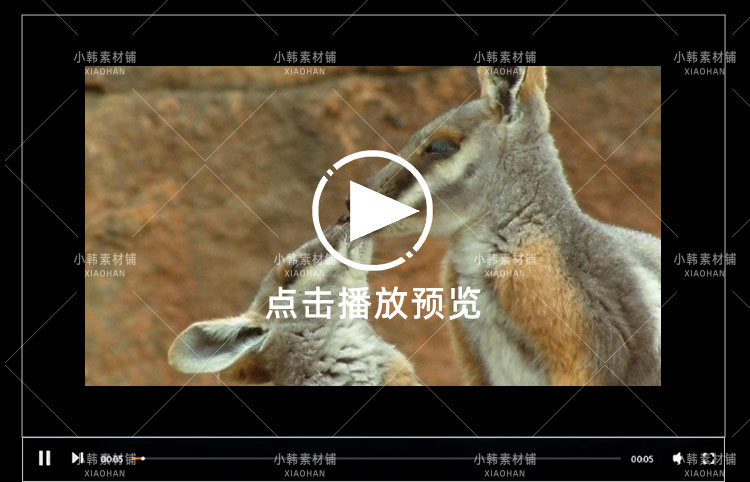 BBC野生动物纪录片哺乳类全传中视频自媒体解说高清剪辑视频素材