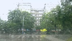 白天窗外下雨视频素材