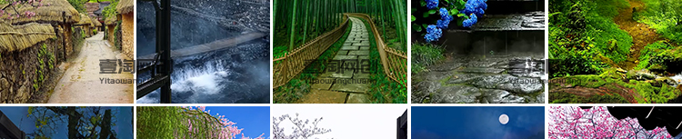 治愈系竖版竖屏深夜唯美风景星空夜景月亮清新抖音快手短视频素材