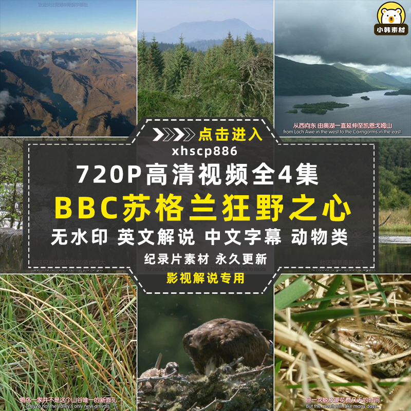 BBC野生动物纪录片高地苏格兰狂野之心中视频自媒体解说视频素材