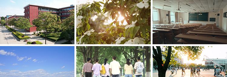 校园青春毕业季图书馆大学校内环境操场教室空镜头实拍短视频素材