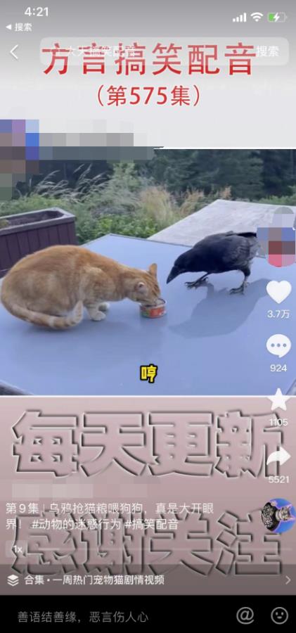 爆火的方言搬砖项目，闷声发大财2023生意经