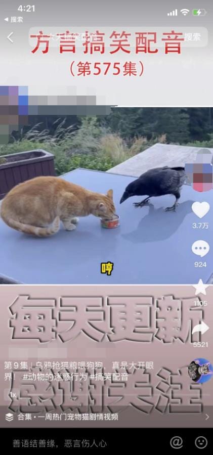 爆火的方言搬砖项目，闷声发大财2023生意经