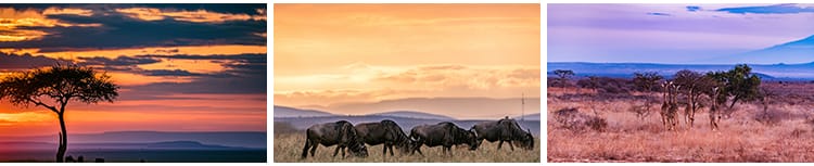非洲景观风光旅游自然风景大象草原动物人文沙漠照片JPG图片素材