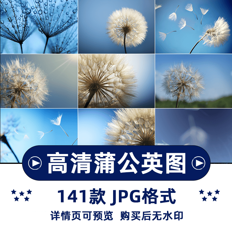 141张唯美蒲公英横版高清抖音自媒体pr剪辑背景图片素材
