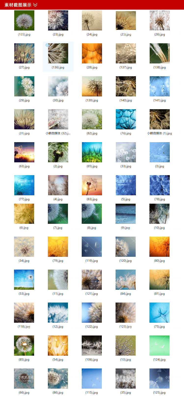 141张唯美蒲公英横版高清抖音自媒体pr剪辑背景图片素材