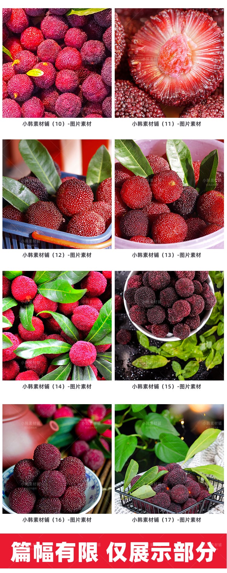 高清新鲜水果JPG图片杨梅果实果肉果汁设计美工电商广告设计素材