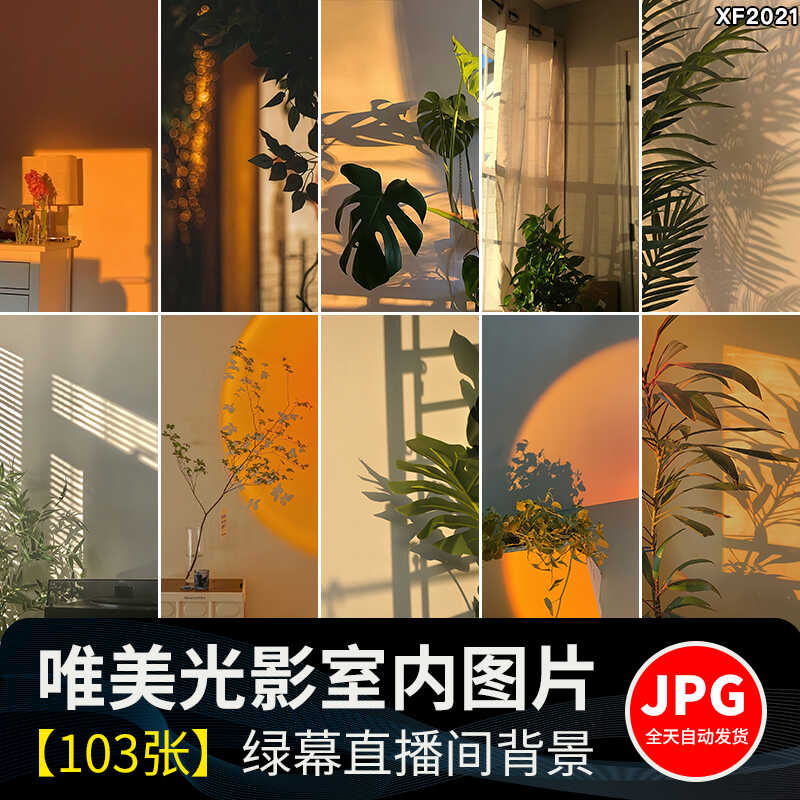 光影氛围室内唯美落日暖光打灯光抖音虚拟直播间背景绿幕图片素材