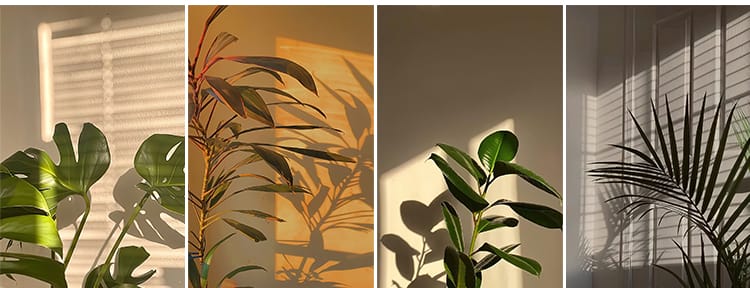 光影氛围室内唯美落日暖光打灯光抖音虚拟直播间背景绿幕图片素材