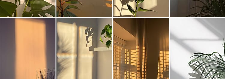 光影氛围室内唯美落日暖光打灯光抖音虚拟直播间背景绿幕图片素材