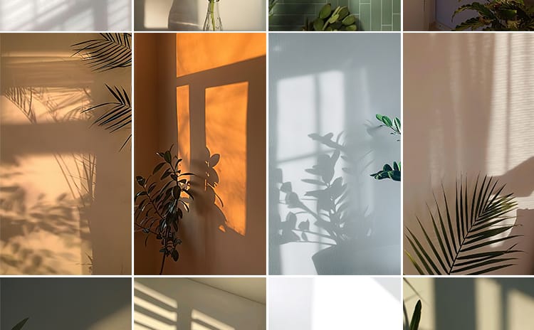 光影氛围室内唯美落日暖光打灯光抖音虚拟直播间背景绿幕图片素材