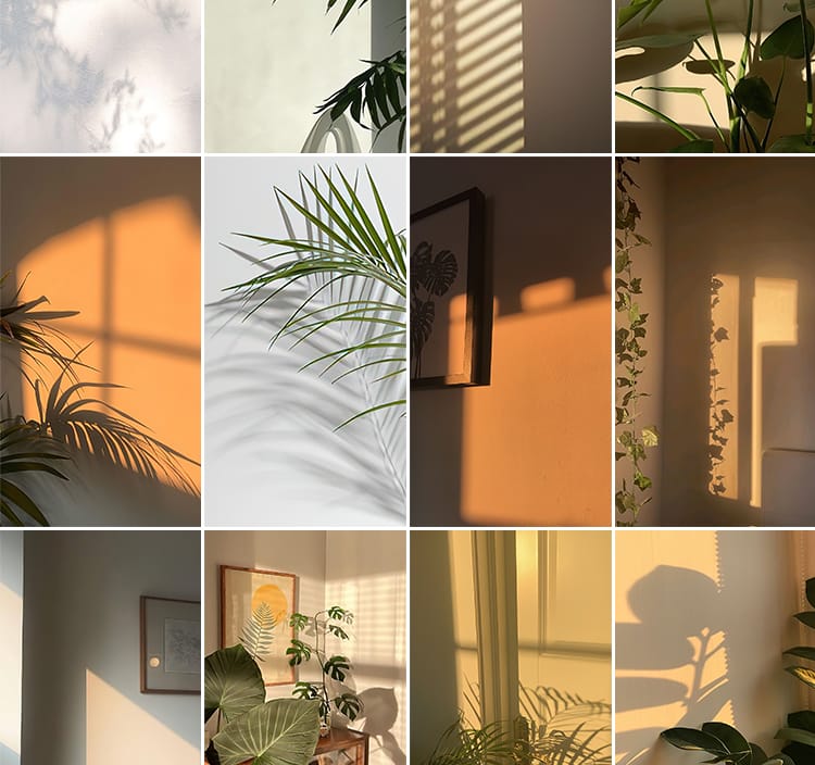 光影氛围室内唯美落日暖光打灯光抖音虚拟直播间背景绿幕图片素材