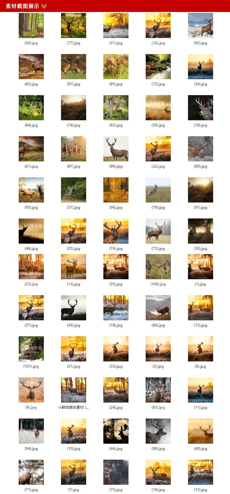 155张高清梅花鹿麋鹿动物横版高清抖音自媒体pr剪辑背景图片素材