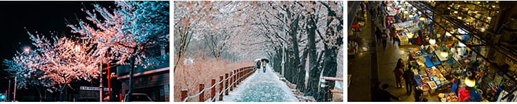 韩国首尔城市风光夜景街道街景建筑旅游风景摄影JPG照片图片素材