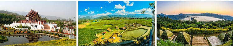 泰国风光东南亚曼谷清迈寺庙人文旅游风景城市建筑景观图片照素材