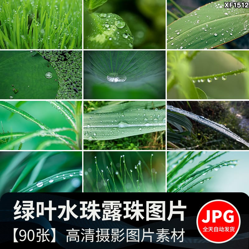 水珠清新绿色露珠露水青草小草叶子雨后水滴JPG高清图片设计素材