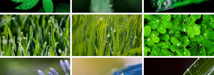 水珠清新绿色露珠露水青草小草叶子雨后水滴JPG高清图片设计素材