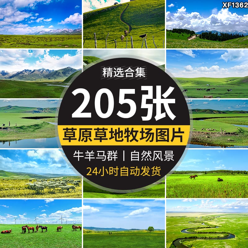 内蒙古呼伦贝尔大草原自然风景草地风光牛羊马群牧场摄影图片素材