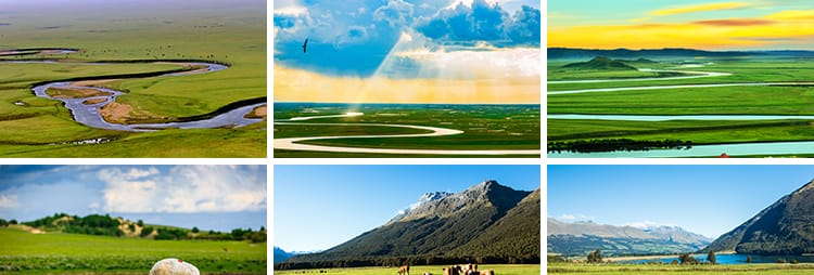 内蒙古呼伦贝尔大草原自然风景草地风光牛羊马群牧场摄影图片素材