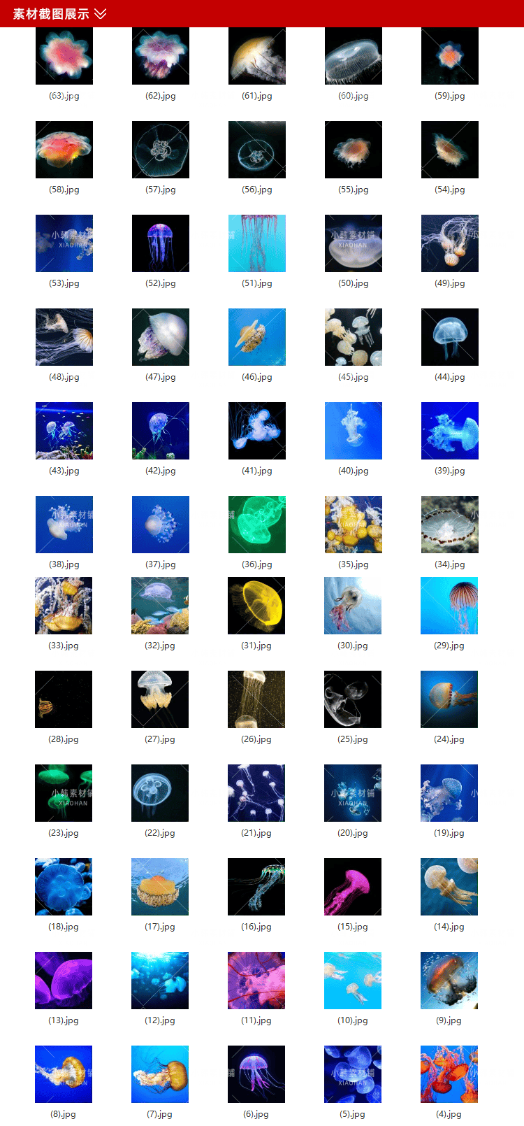 60张水母海洋生物横版高清抖音自媒体pr剪辑背景图片素材