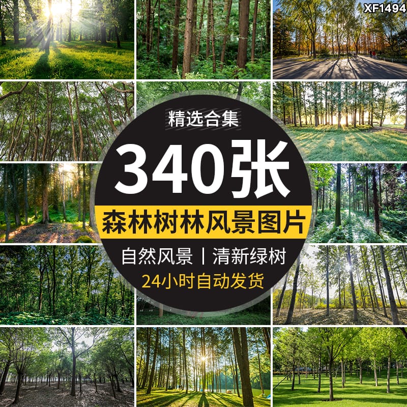 绿色森林树林小路唯美绿叶绿树大树清新风景抖音图片高清设计素材