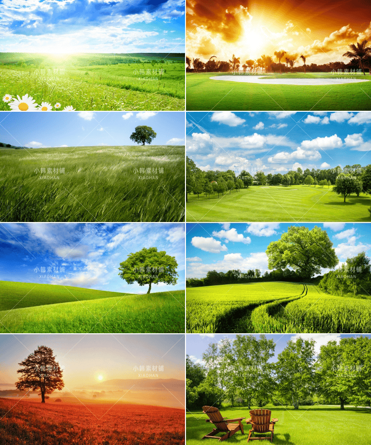 129张草原草地牧场风景横版高清抖音自媒体pr剪辑背景图片素材