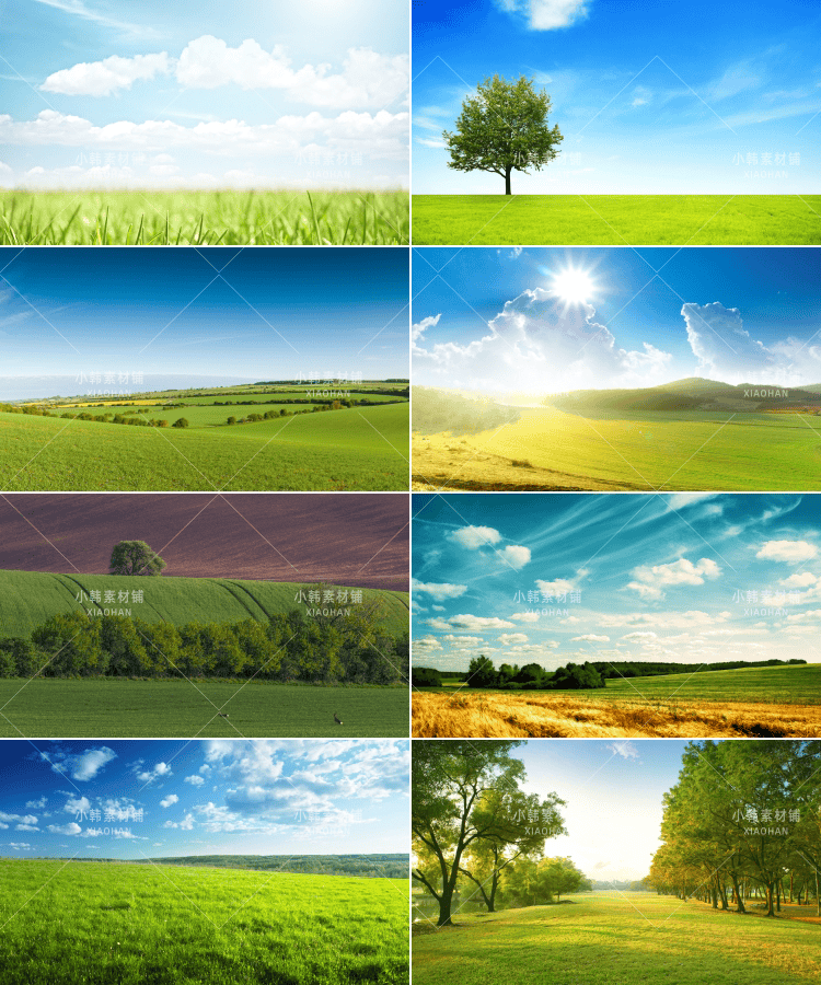 129张草原草地牧场风景横版高清抖音自媒体pr剪辑背景图片素材