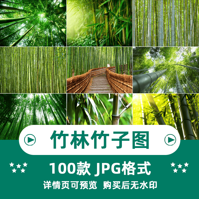 100张竹林竹子风景横版高清抖音自媒体pr剪辑背景图片素材