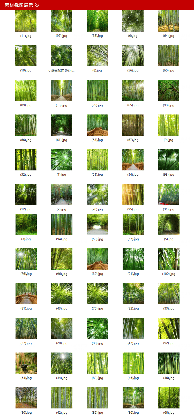 100张竹林竹子风景横版高清抖音自媒体pr剪辑背景图片素材