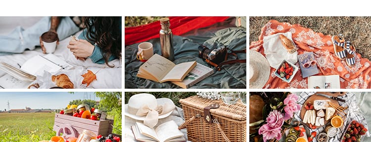 户外野餐聚会家庭国外野外美食水果甜点野营旅游休闲生活图片素材