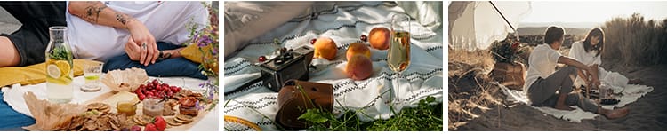 户外野餐聚会家庭国外野外美食水果甜点野营旅游休闲生活图片素材