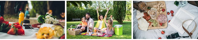 户外野餐聚会家庭国外野外美食水果甜点野营旅游休闲生活图片素材