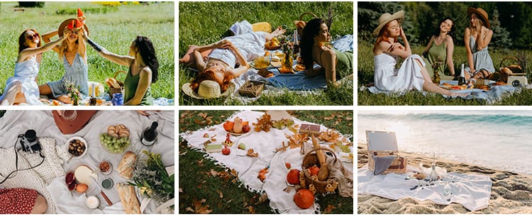 户外野餐聚会家庭国外野外美食水果甜点野营旅游休闲生活图片素材