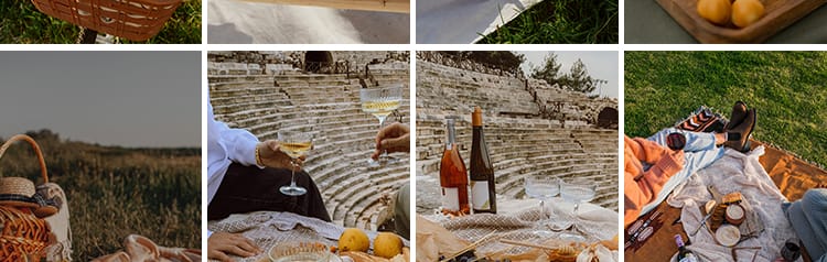 户外野餐聚会家庭国外野外美食水果甜点野营旅游休闲生活图片素材