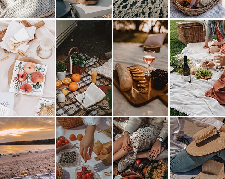 户外野餐聚会家庭国外野外美食水果甜点野营旅游休闲生活图片素材