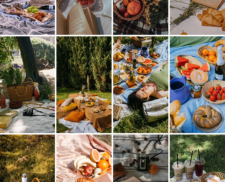 户外野餐聚会家庭国外野外美食水果甜点野营旅游休闲生活图片素材