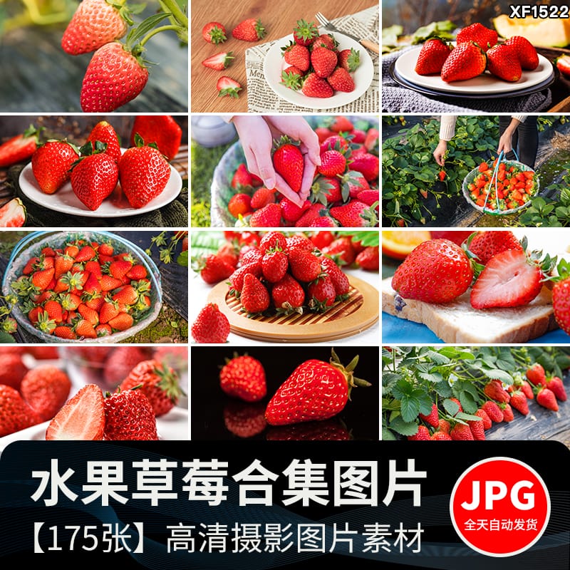 新鲜水果草莓特写草莓园果蔬美食高清实拍摄影照设计背景图片素材
