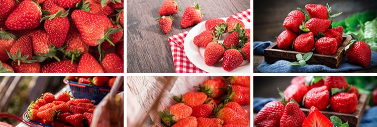 新鲜水果草莓特写草莓园果蔬美食高清实拍摄影照设计背景图片素材