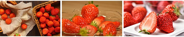 新鲜水果草莓特写草莓园果蔬美食高清实拍摄影照设计背景图片素材