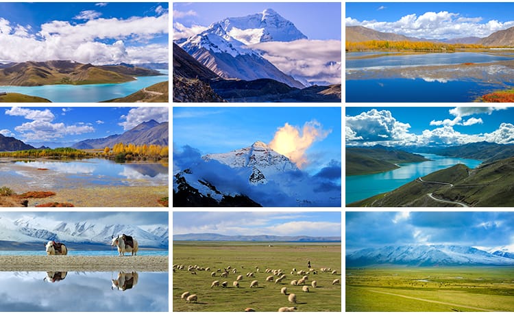 西藏风景布达拉宫雪山湖泊蓝天白云草原雪山风光实拍高清图片素材